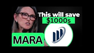 mara stock